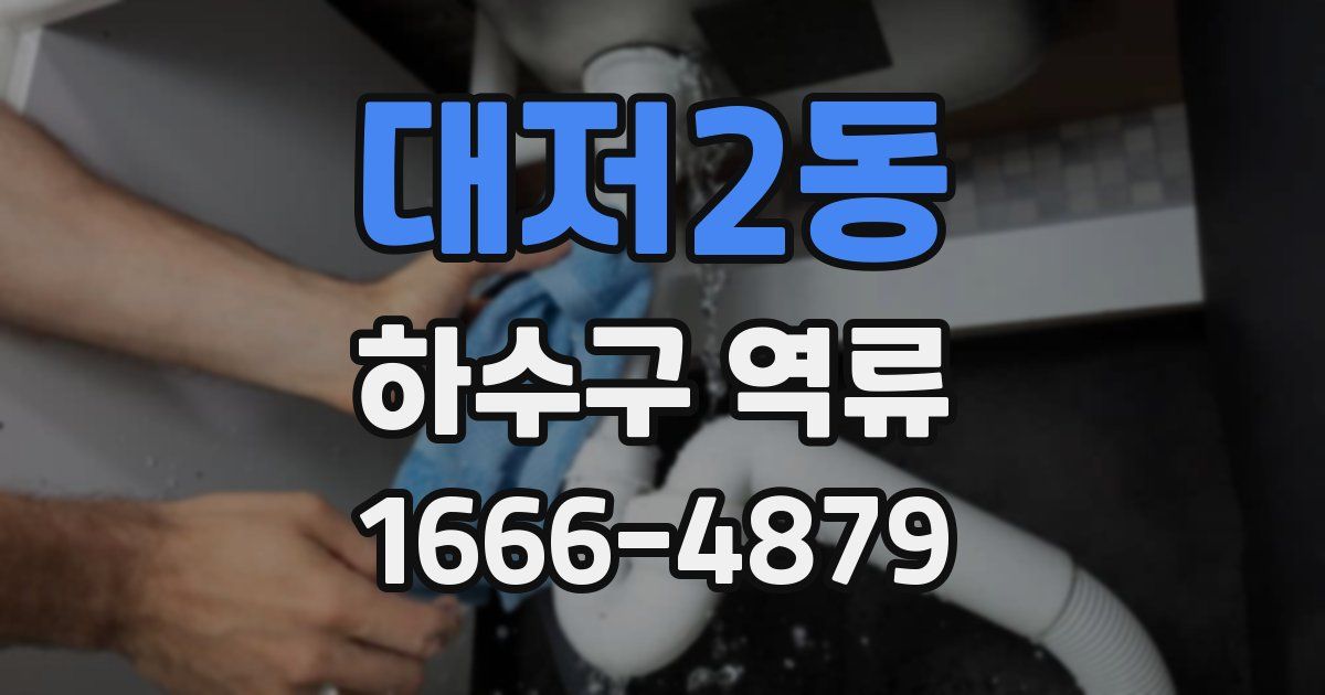 대저2동 하수구 역류
