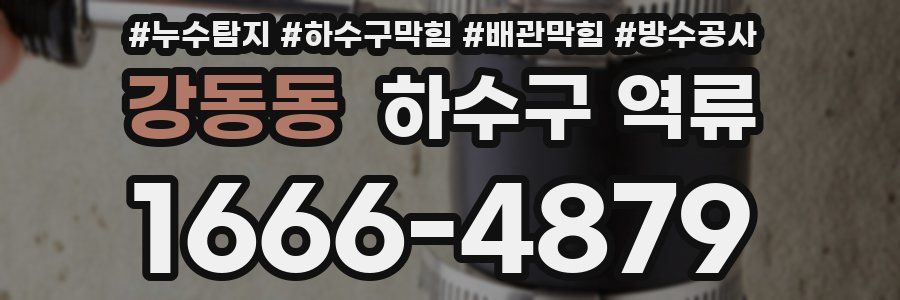 강동동 하수구 역류