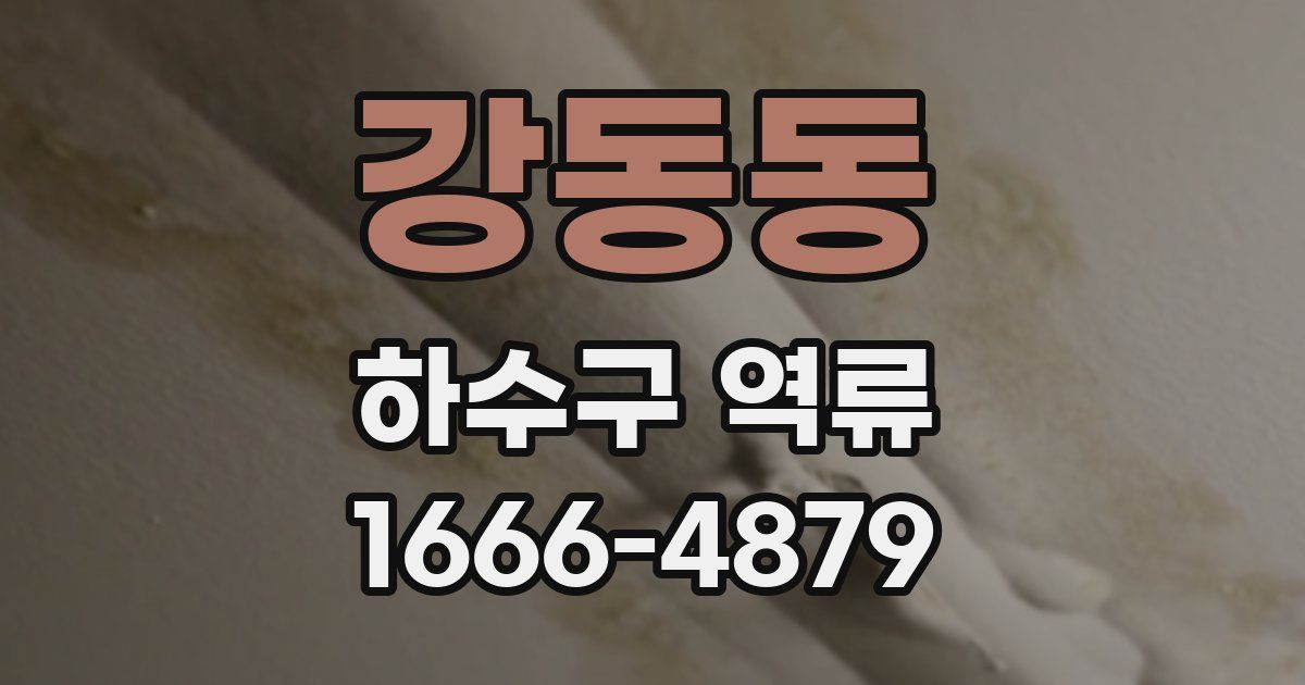 강동동 하수구 역류
