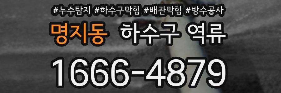 명지동 하수구 역류