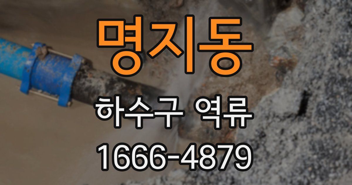 명지동 하수구 역류