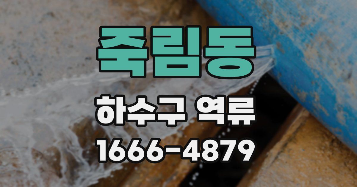 죽림동 하수구 역류