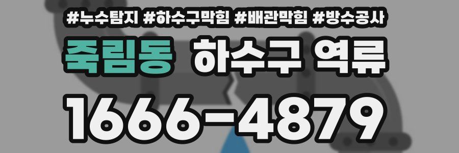 죽림동 하수구 역류