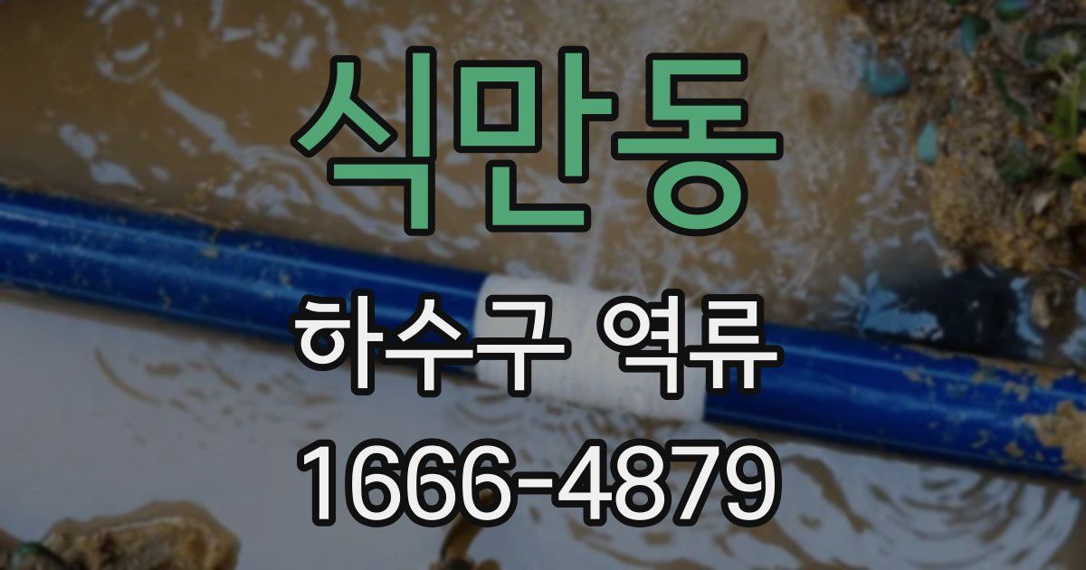 식만동 하수구 역류