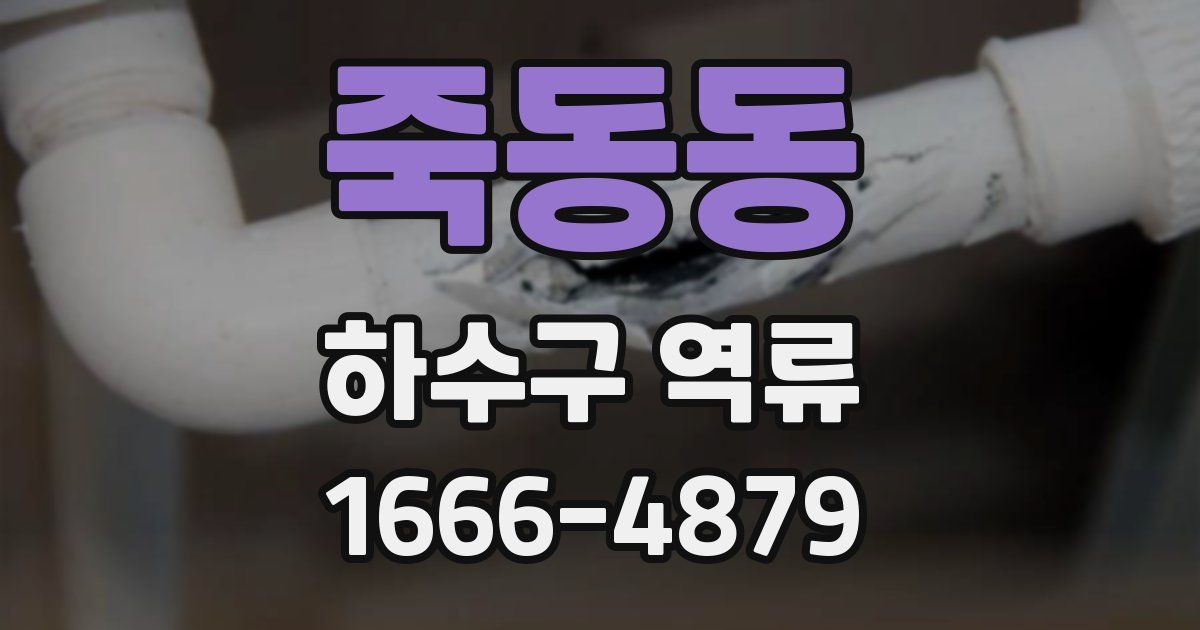 죽동동 하수구 역류
