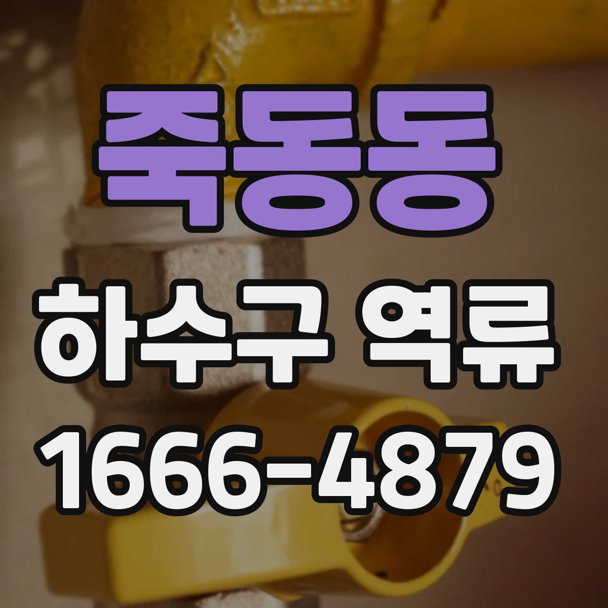 죽동동 하수구 역류
