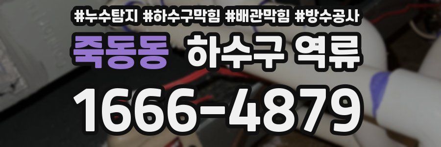 죽동동 하수구 역류