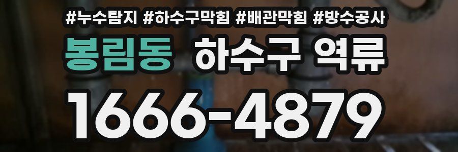 봉림동 하수구 역류