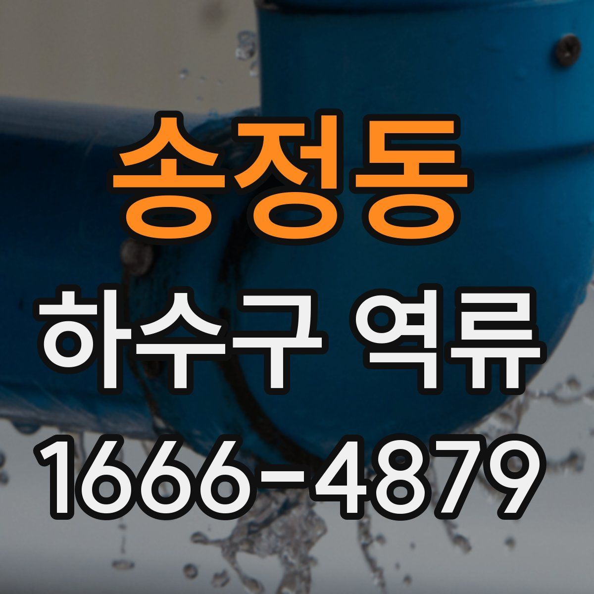 송정동 하수구 역류