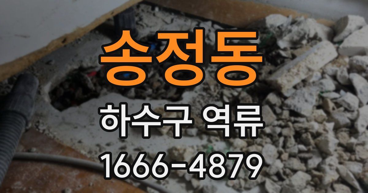 송정동 하수구 역류