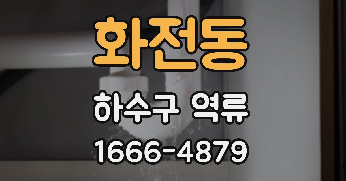 화전동 하수구 역류