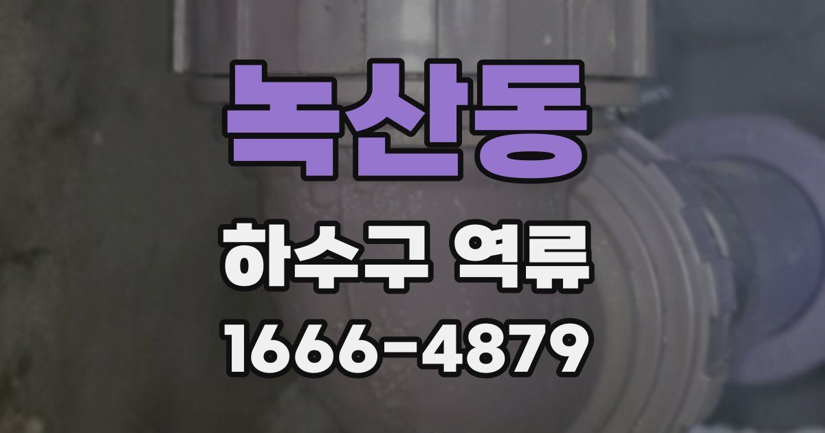 녹산동 하수구 역류
