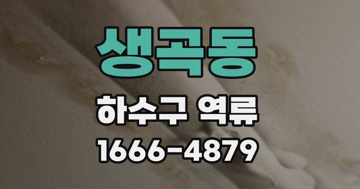 생곡동 하수구 역류