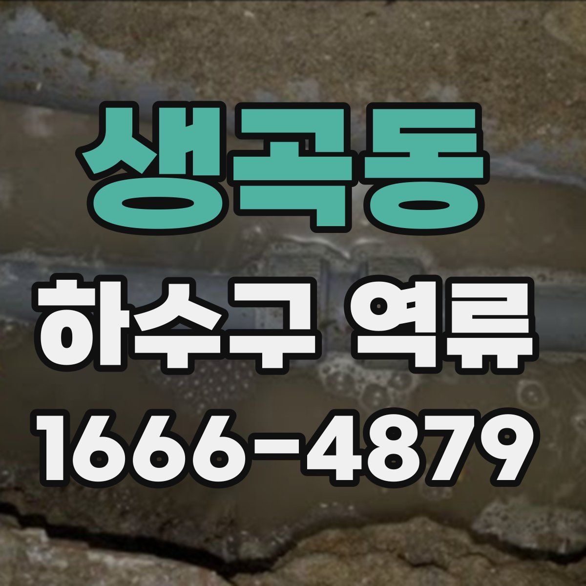생곡동 하수구 역류