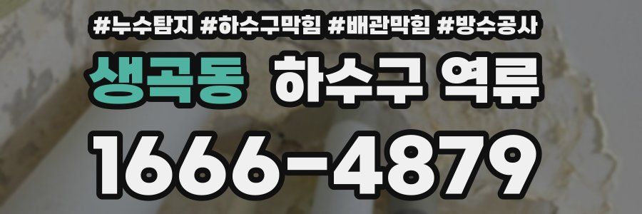 생곡동 하수구 역류