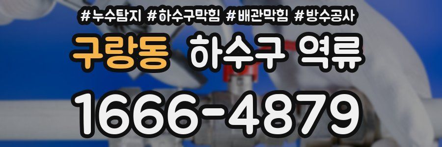 구랑동 하수구 역류