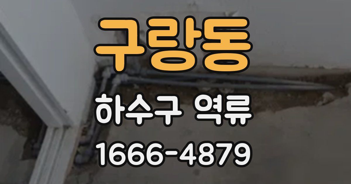 구랑동 하수구 역류