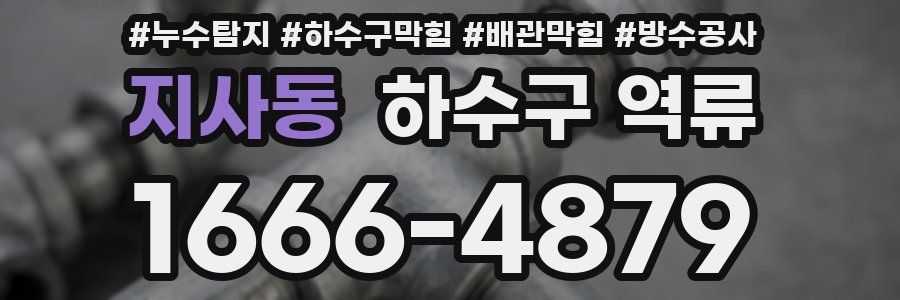 지사동 하수구 역류
