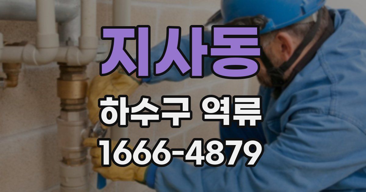 지사동 하수구 역류