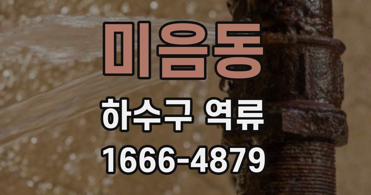 미음동 하수구 역류