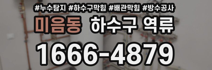 미음동 하수구 역류