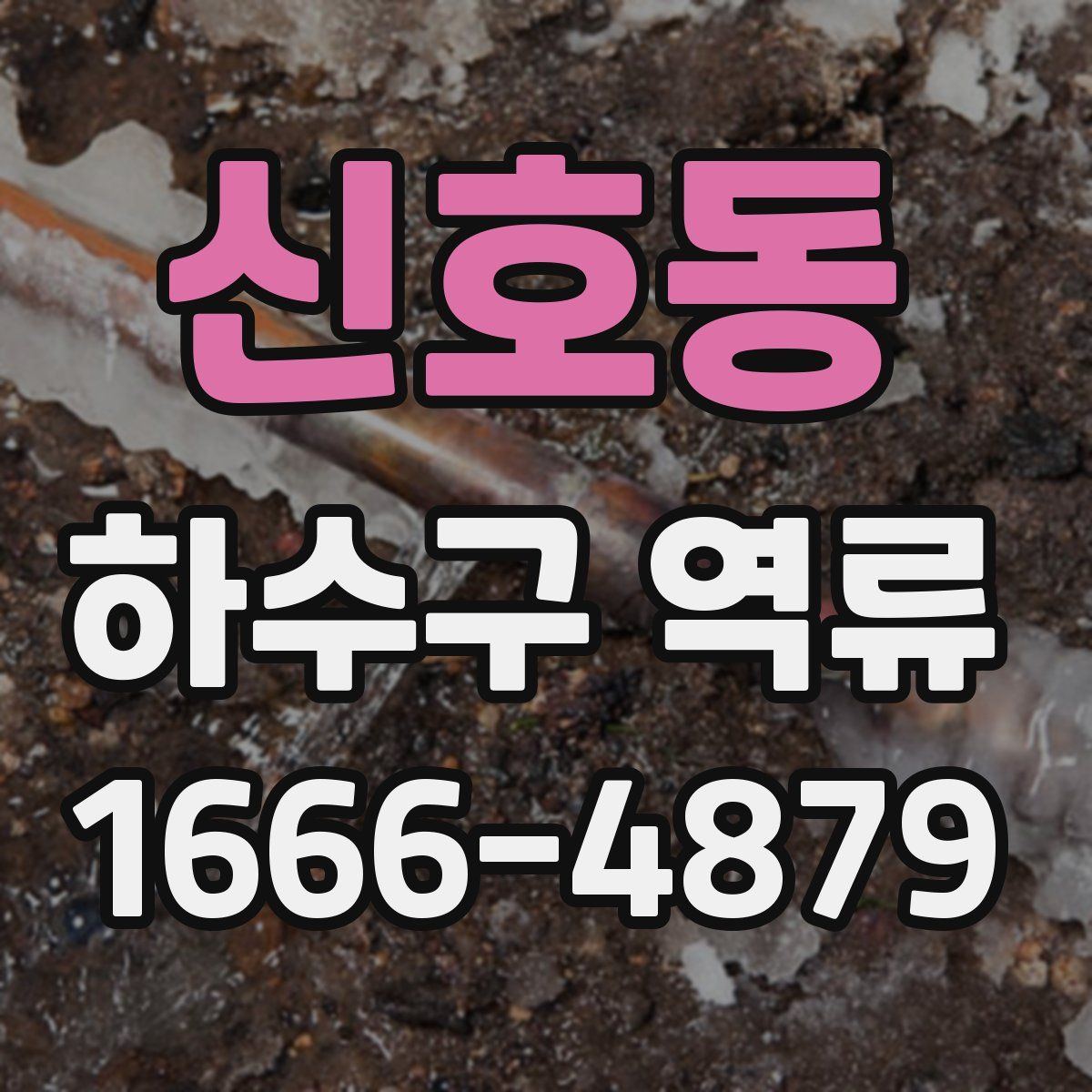 신호동 하수구 역류