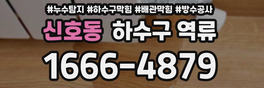 신호동 하수구 역류