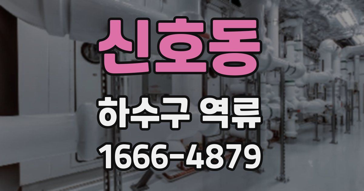 신호동 하수구 역류