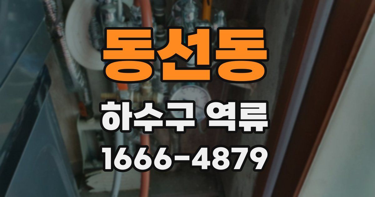 동선동 하수구 역류