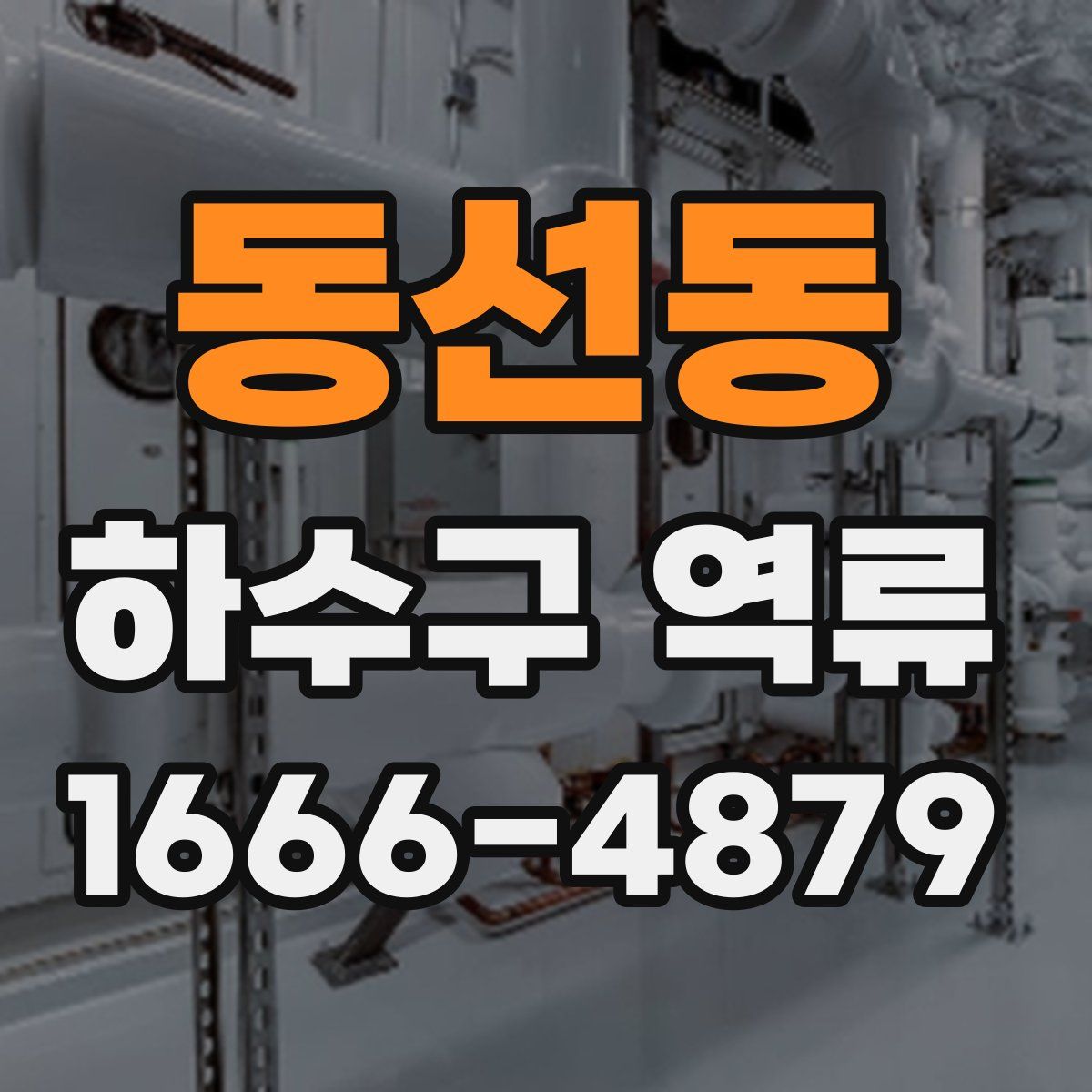 동선동 하수구 역류
