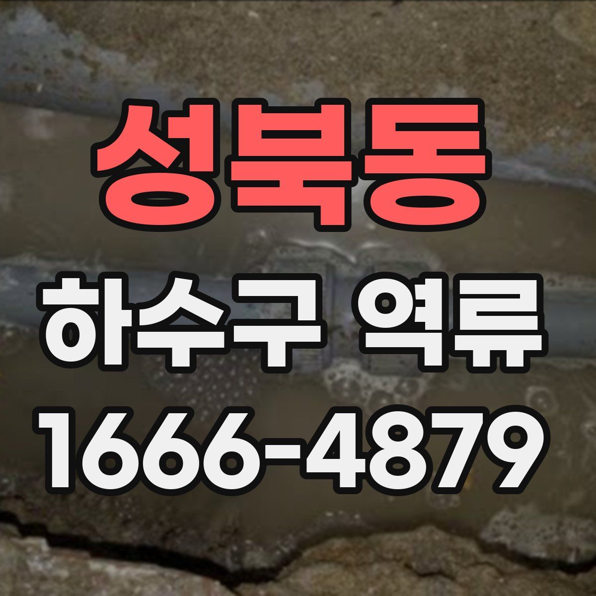성북동 하수구 역류