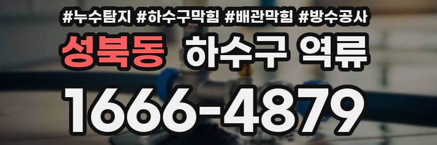 성북동 하수구 역류