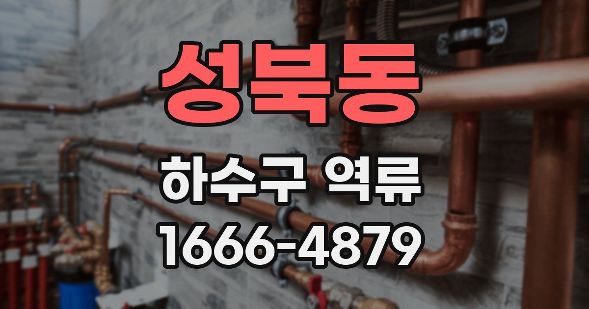 성북동 하수구 역류
