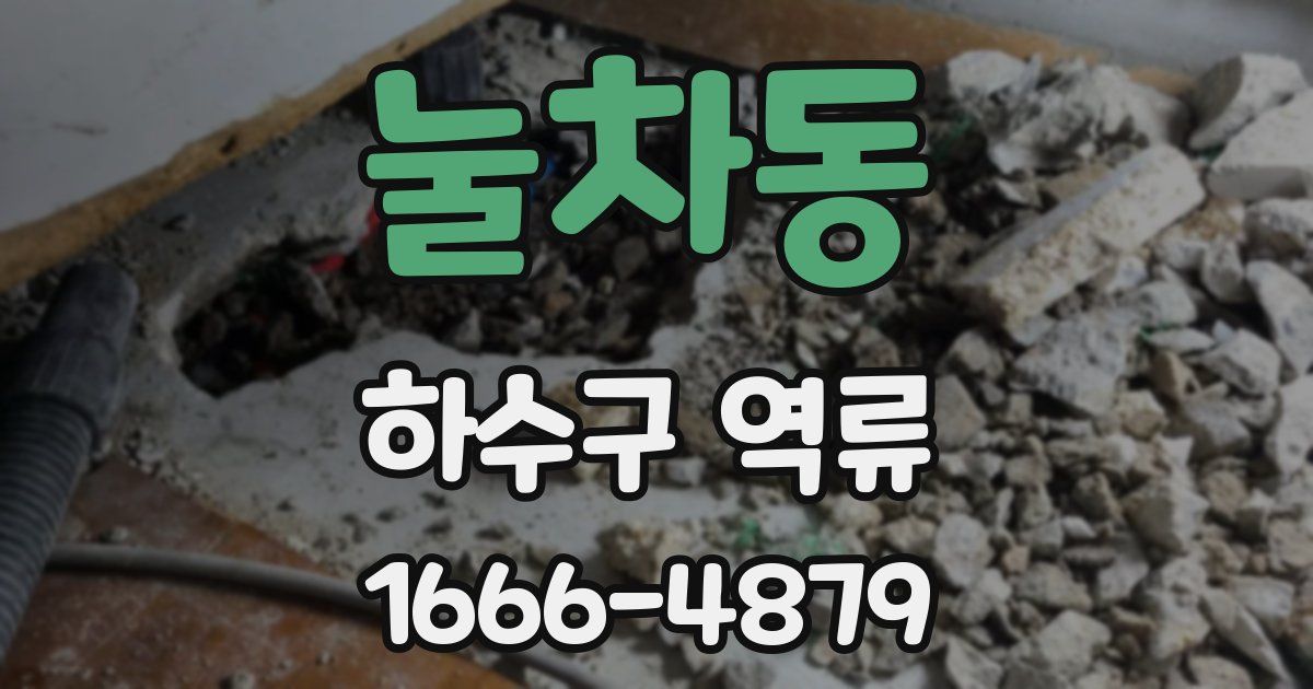 눌차동 하수구 역류