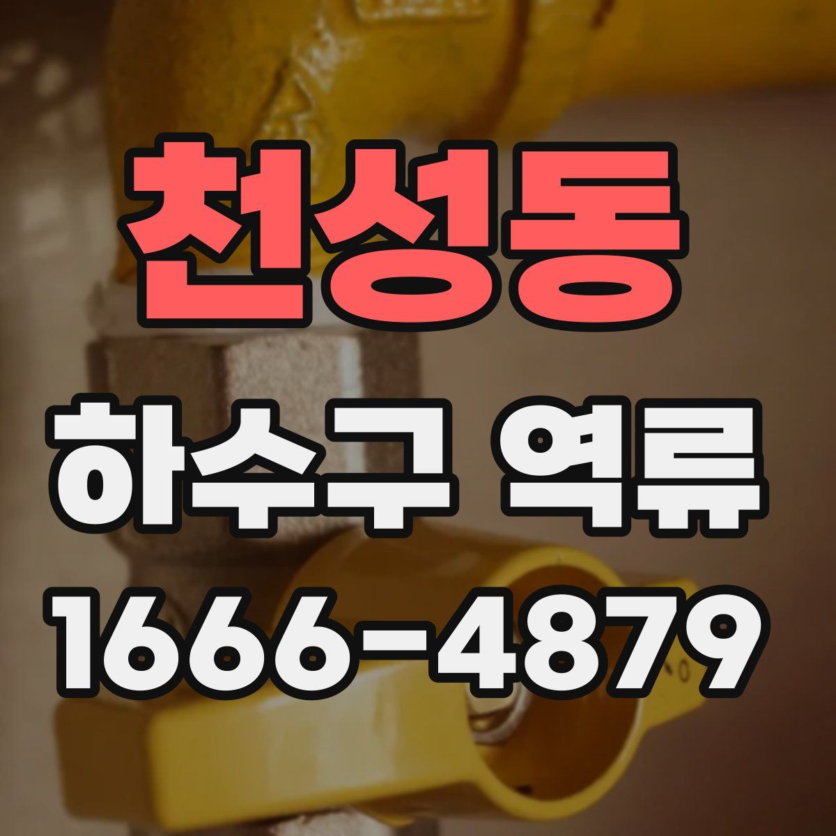 천성동 하수구 역류