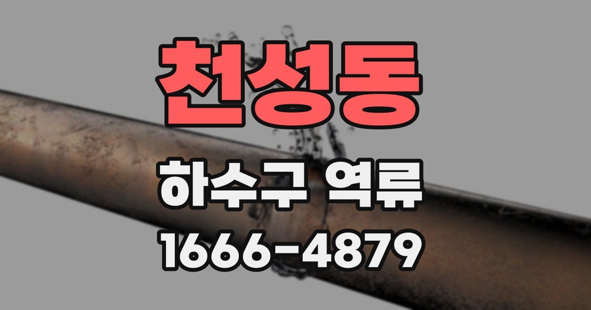 천성동 하수구 역류