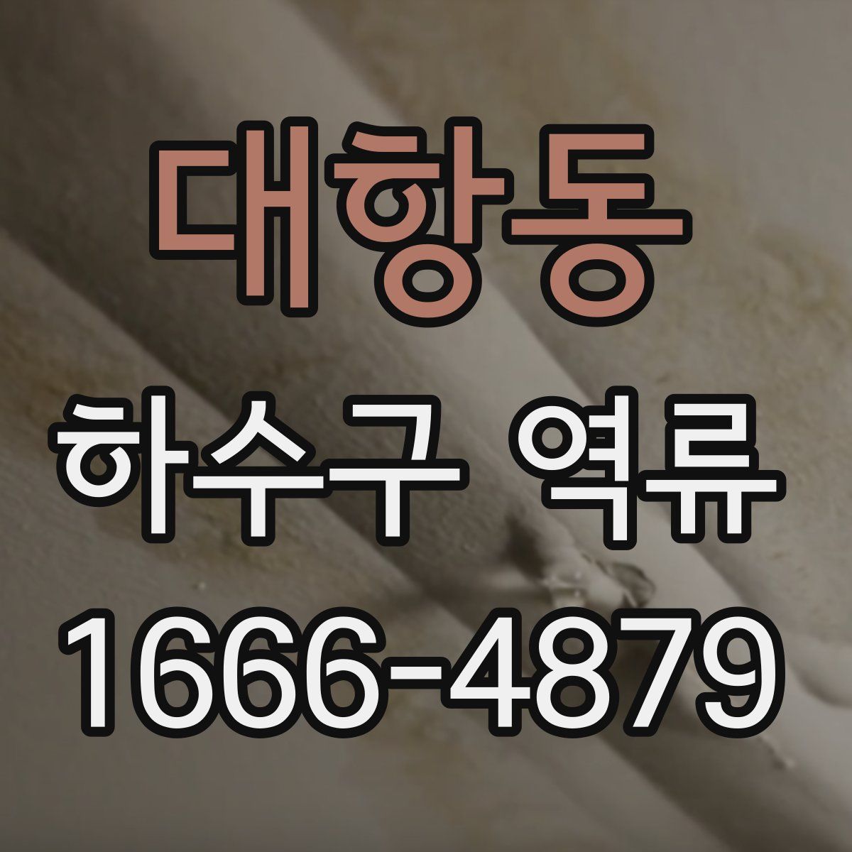 대항동 하수구 역류