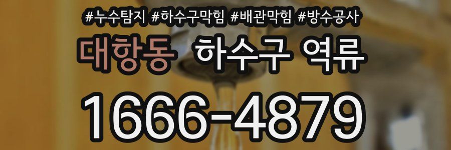 대항동 하수구 역류
