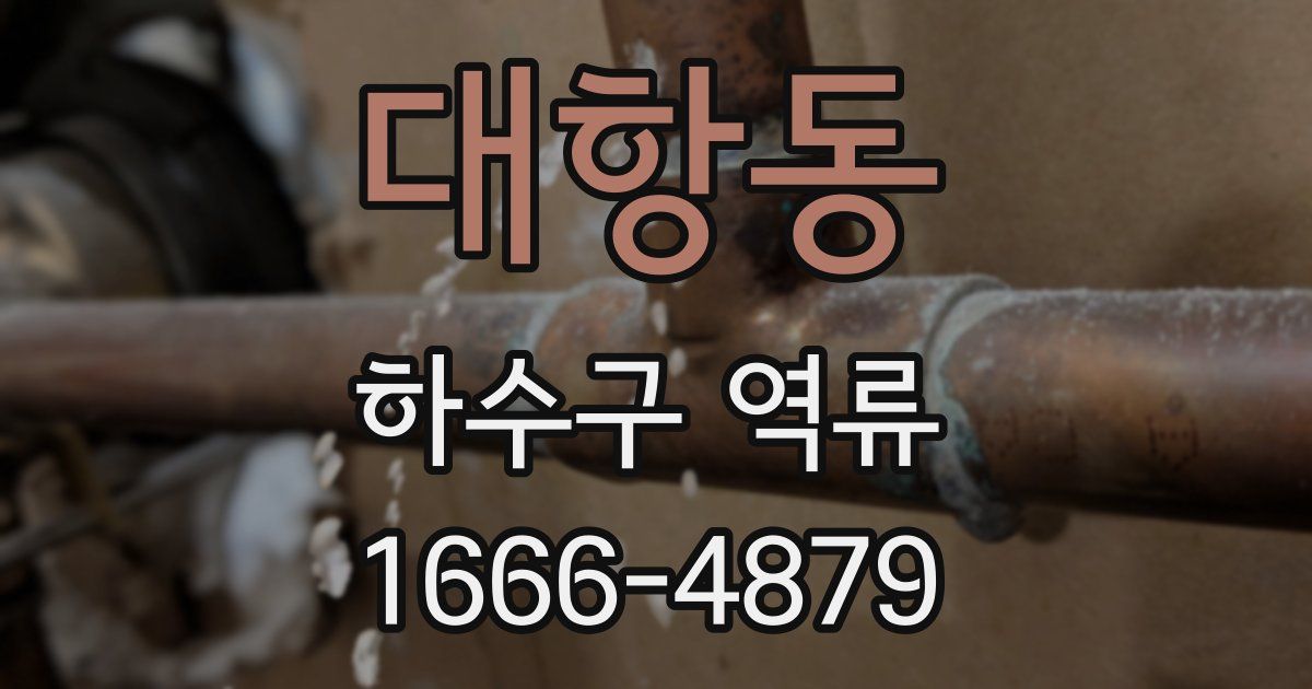 대항동 하수구 역류
