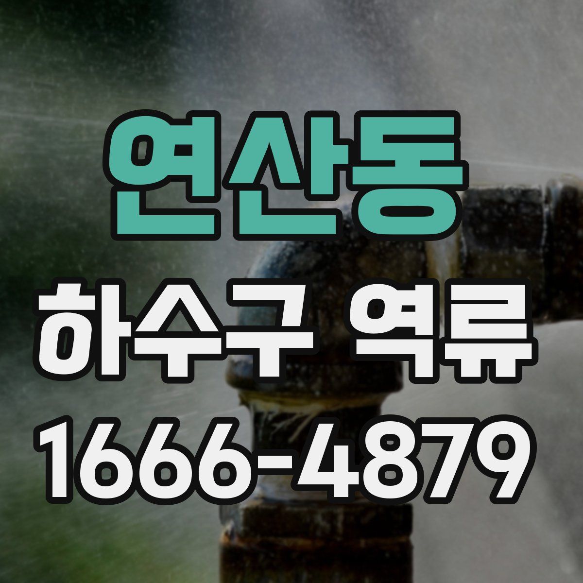 연산동 하수구 역류