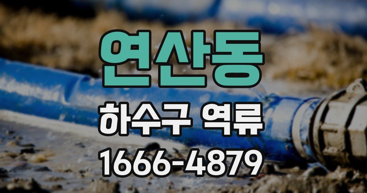 연산동 하수구 역류