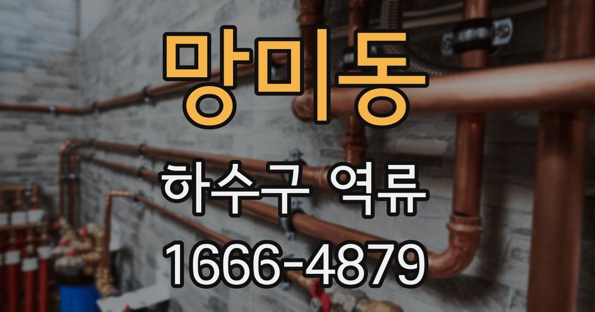 망미동 하수구 역류