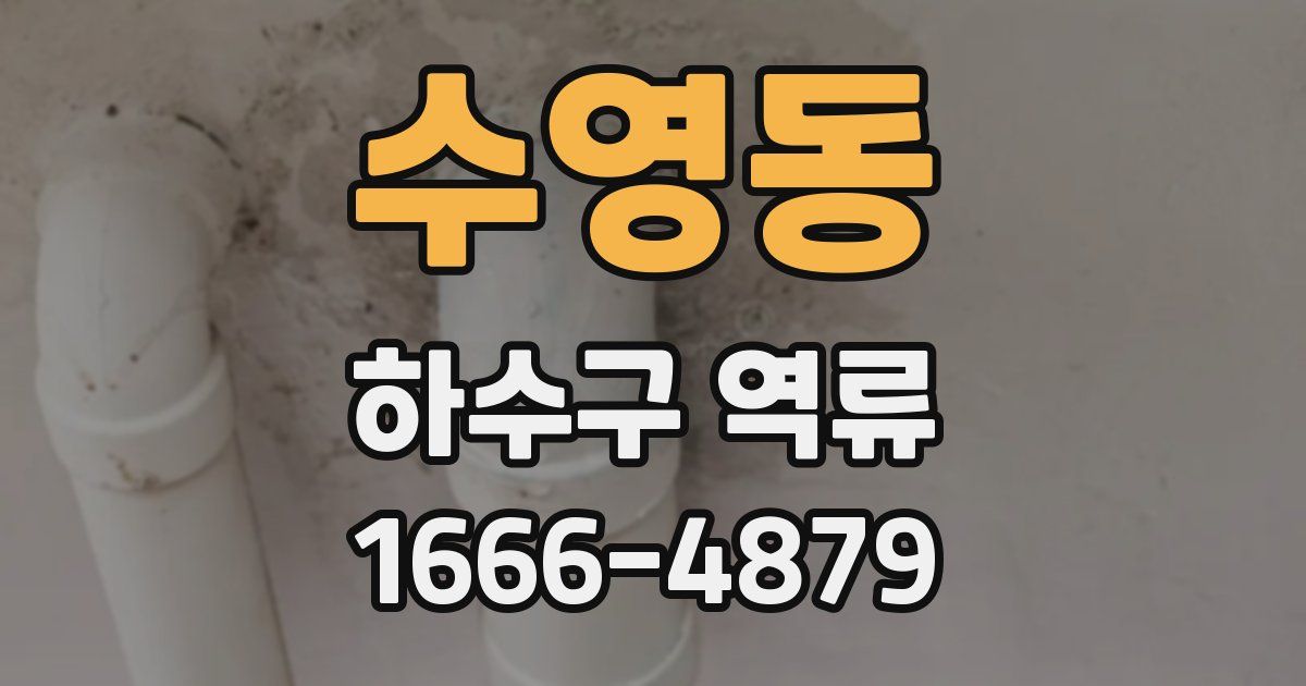 수영동 하수구 역류