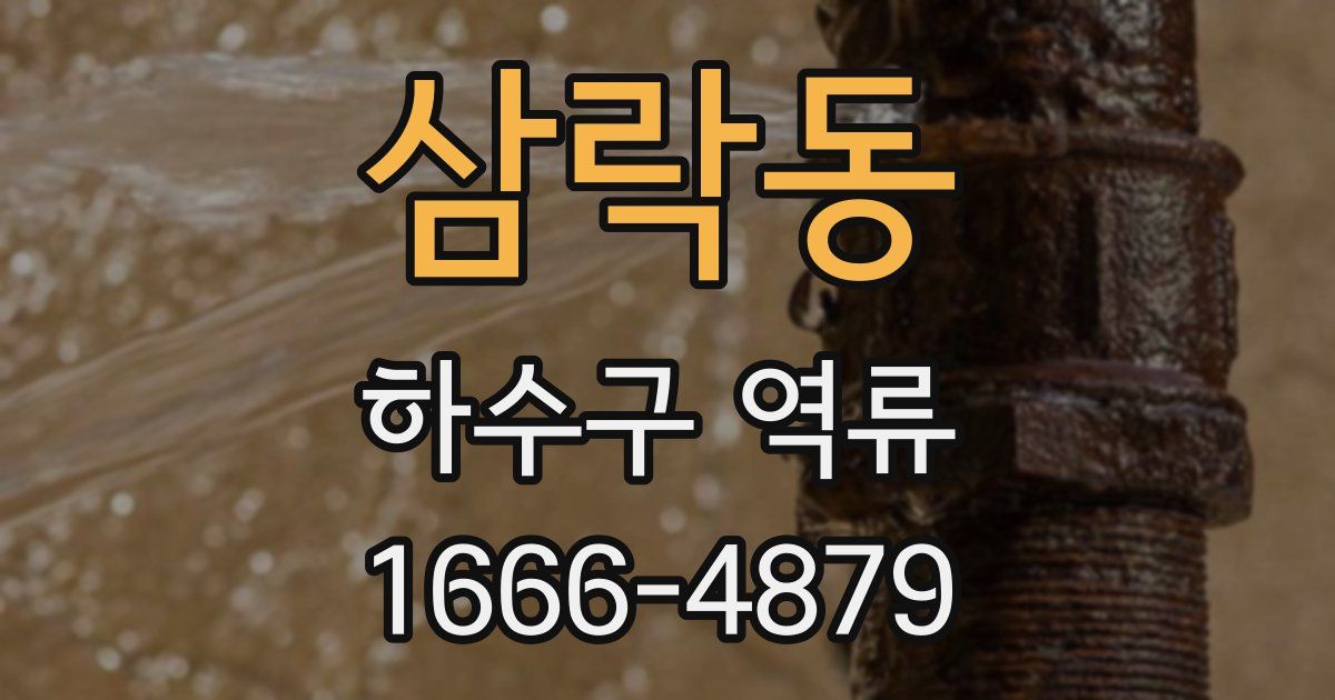 삼락동 하수구 역류