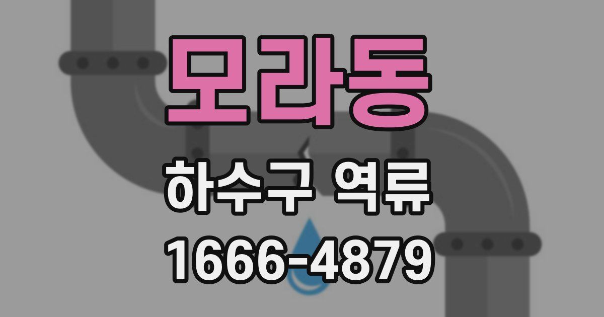 모라동 하수구 역류