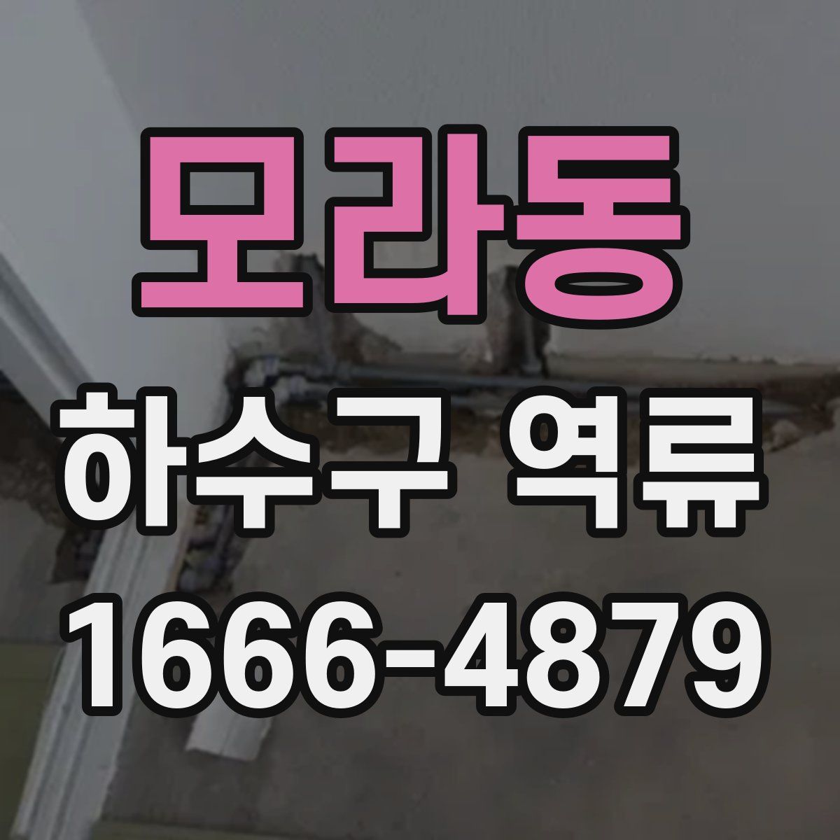 모라동 하수구 역류