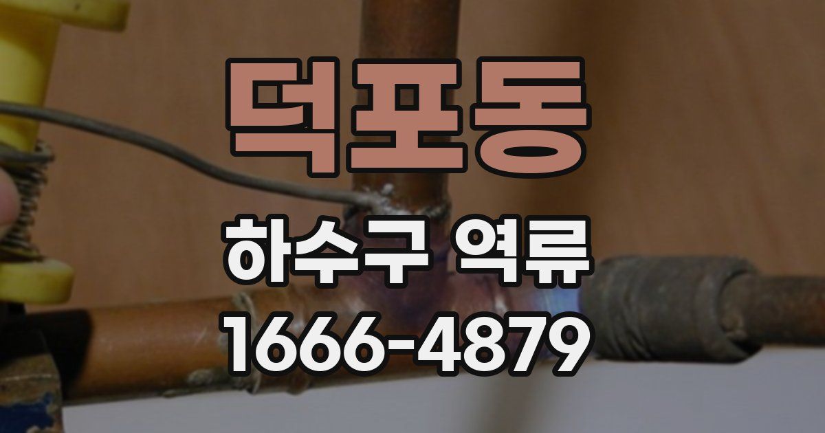 덕포동 하수구 역류