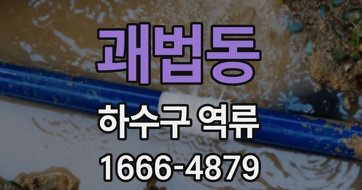 괘법동 하수구 역류
