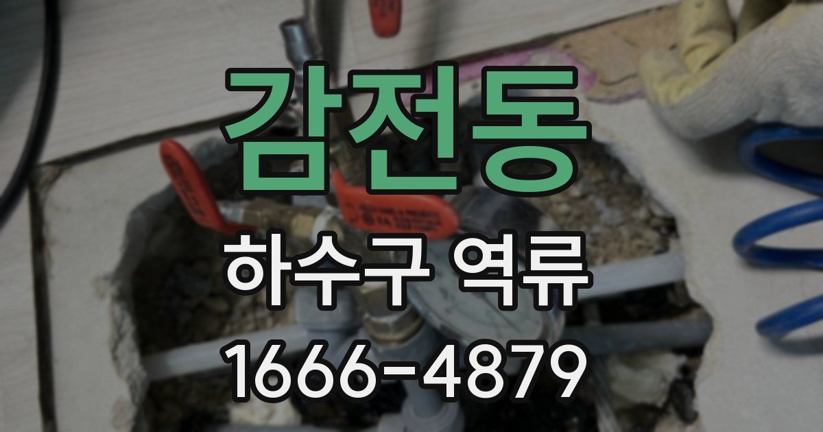 감전동 하수구 역류