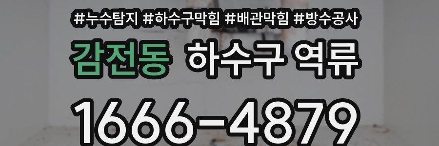 감전동 하수구 역류